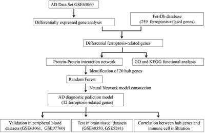 Exploring the key ferroptosis-related gene in the peripheral blood of patients with Alzheimer’s disease and its clinical significance